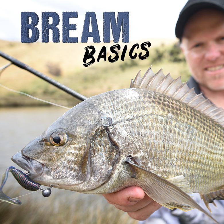 Squidgy Bio Tough Bream Basics