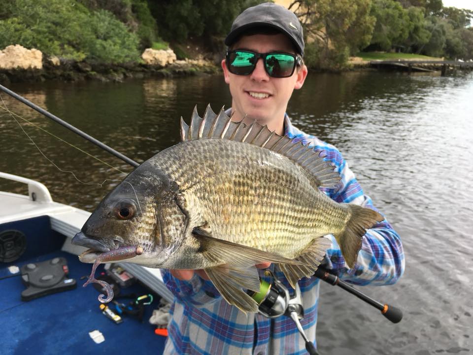 Bream on Squidgies Bio Tough