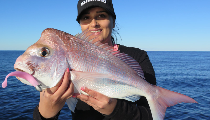 Catching Snapper on Squidgies Part 1