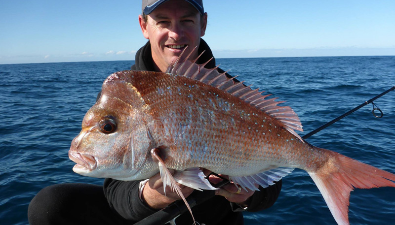 Catching Snapper on Squidgies - Part 2