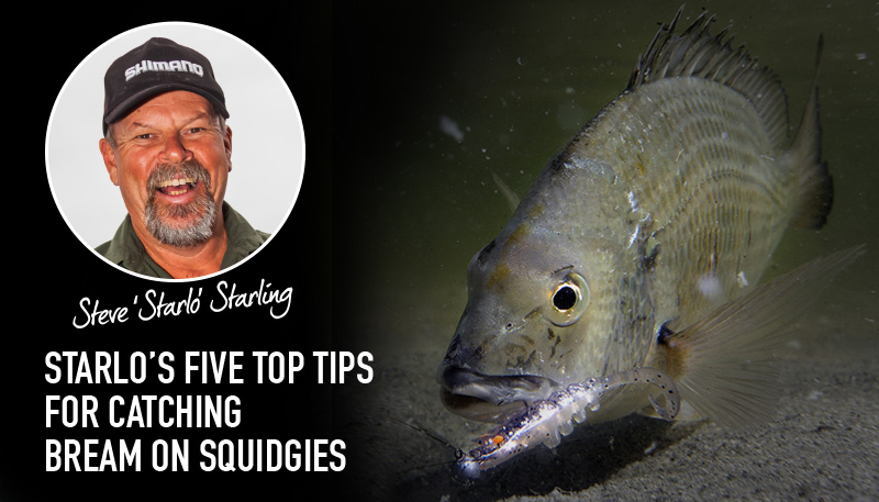 Starlo's five top tips for catching Bream on Squidgies